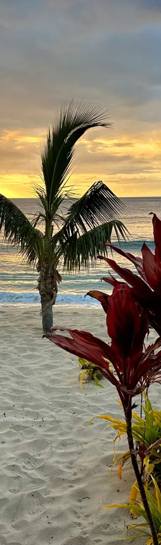 Octopus Resort – ein wahrer Traum